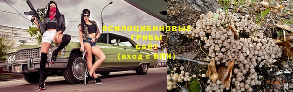 jwh Алзамай
