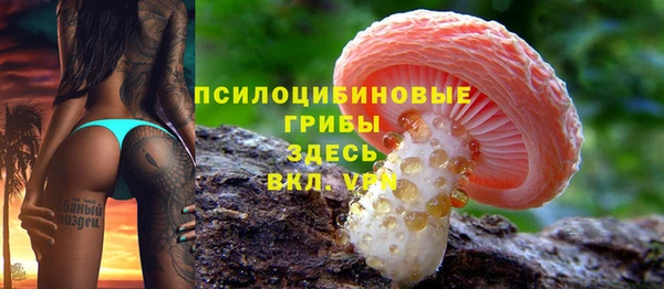 гидропоника Алексин