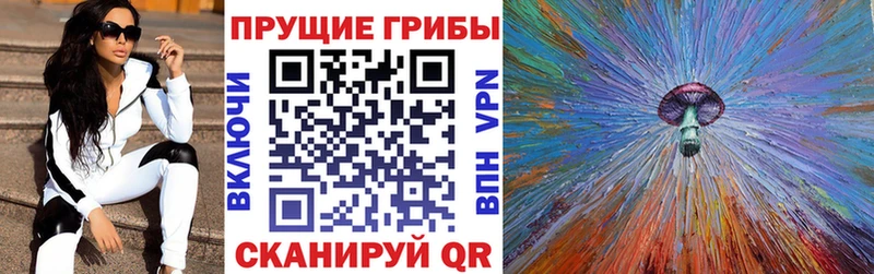 Купить где  Вуктыл  Псилоцибиновые грибы MAGIC MUSHROOMS 